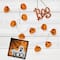 10ct. Jack-O-Lantern LED Warm White String Lights